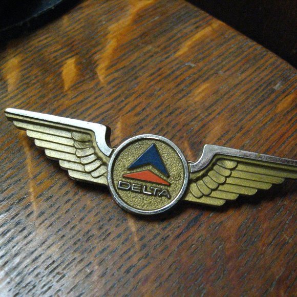 ✈️ Delta Air Lines Junior Pilot Stewardess Wings - Picture 1 of 4